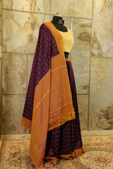 burgundy Ikat Pochampalli saree with Brown Pallu & border