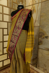 Olive green Chettinad cotton saree  with marron border with beautiful peacock motif weaved on border