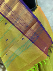 Green Brown Dual tone Cotton Saree