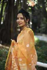 Amber Exclusive Handwoven Benarasi Jamdani Saree