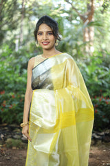 Black Organza Saree