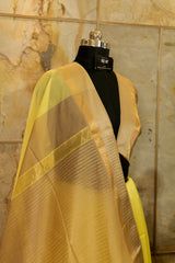 Lemon yellow Maheshwari Saree