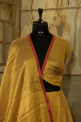 Gold Tissue Saree