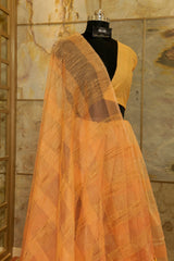 Peach organza textured saree