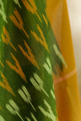 Green and mustard border and Pallu Ikat Pochampalli cotton